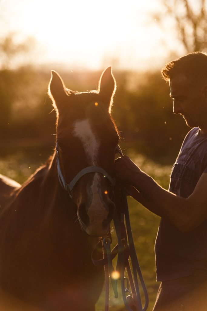 farmár s koňom pri západe slnka